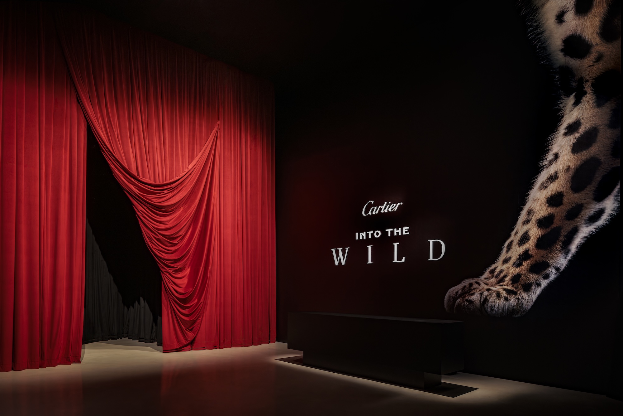 Cartier Presents 'Into the Wild' in Miami's Design District