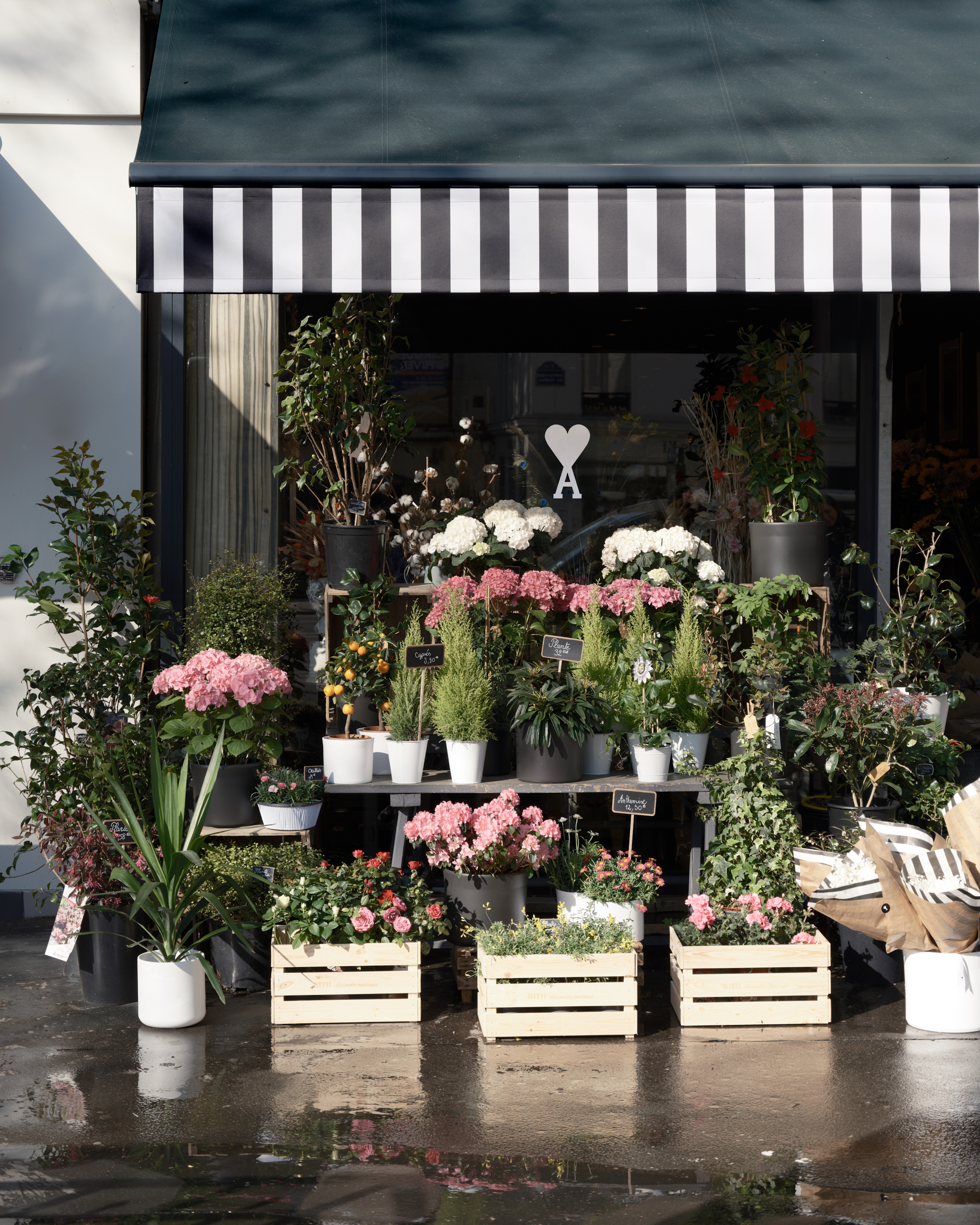 AMI in Le Marais: Where Fashion Meets Community