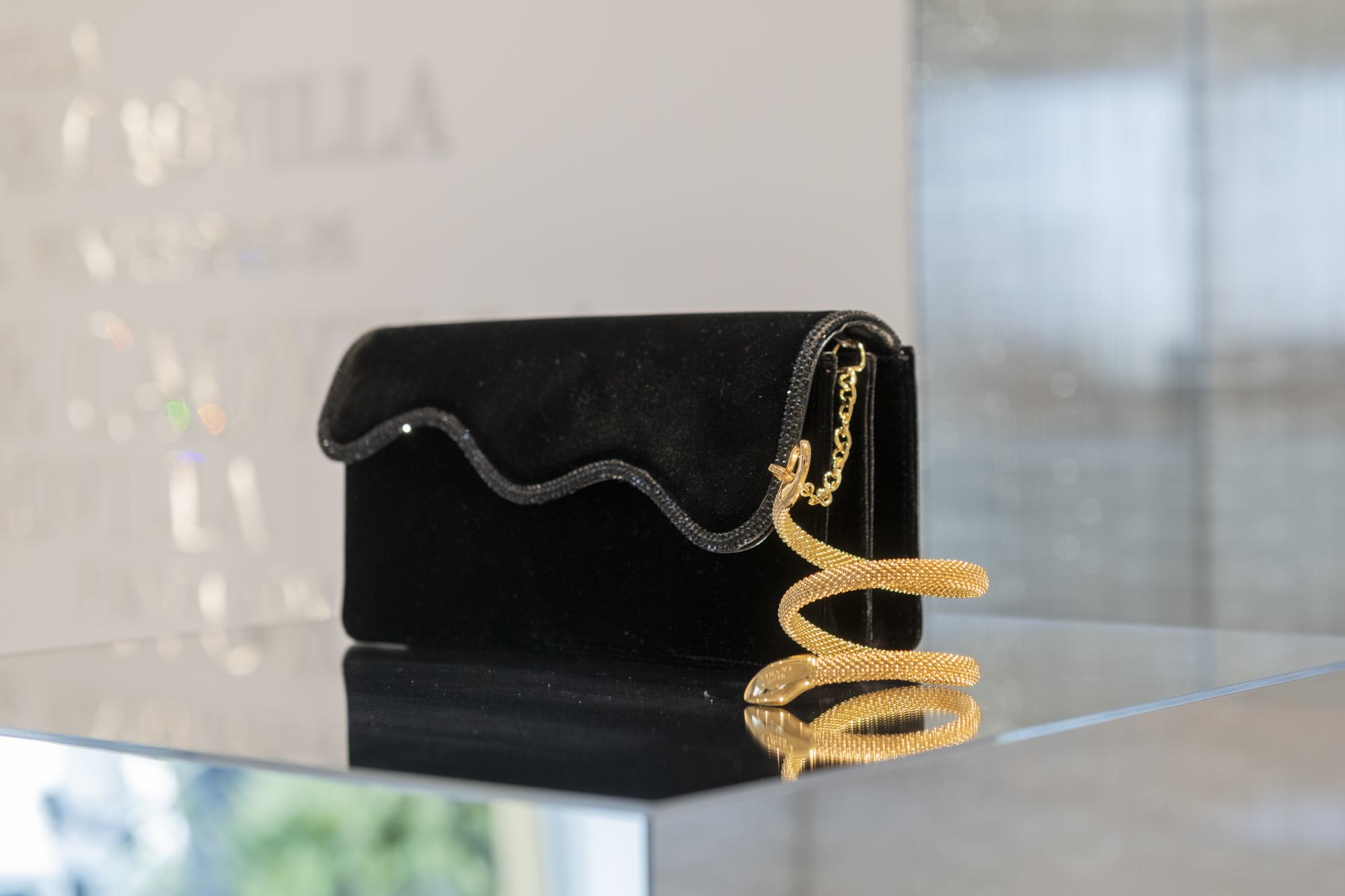 Rene-Caovilla-Bag-1745082688558