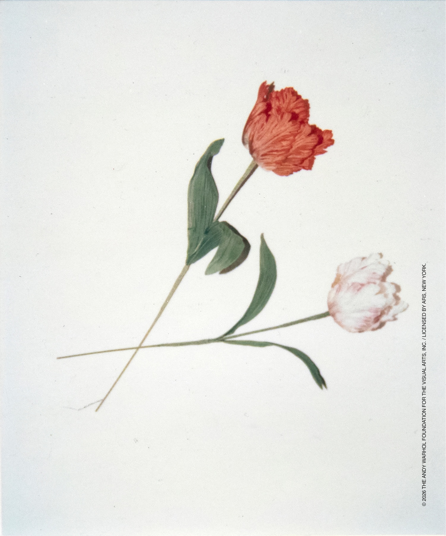 Andy Warhol 'Banal Objects' at Saint Laurent Rive Droite Paris