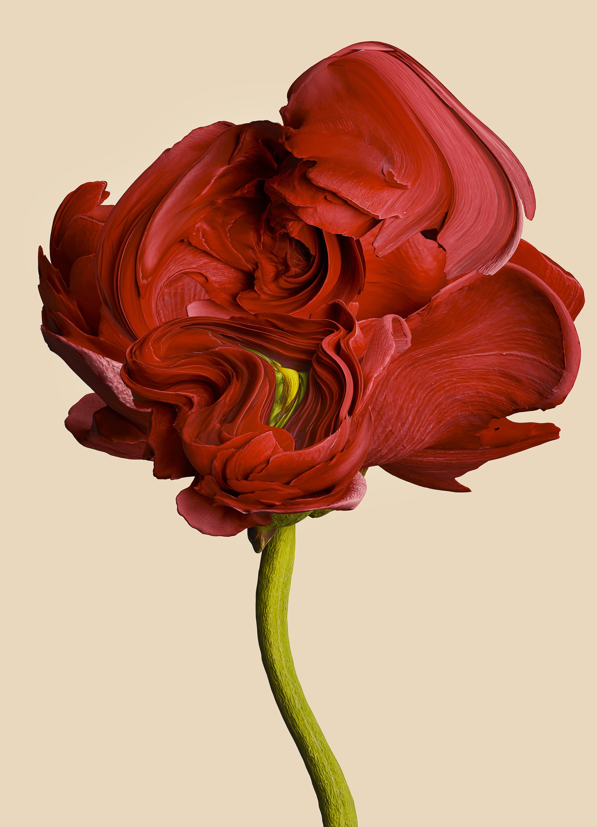 Saint Laurent Rive Droit Paris Presents 'Flora Incognita' by Vincent Fournier