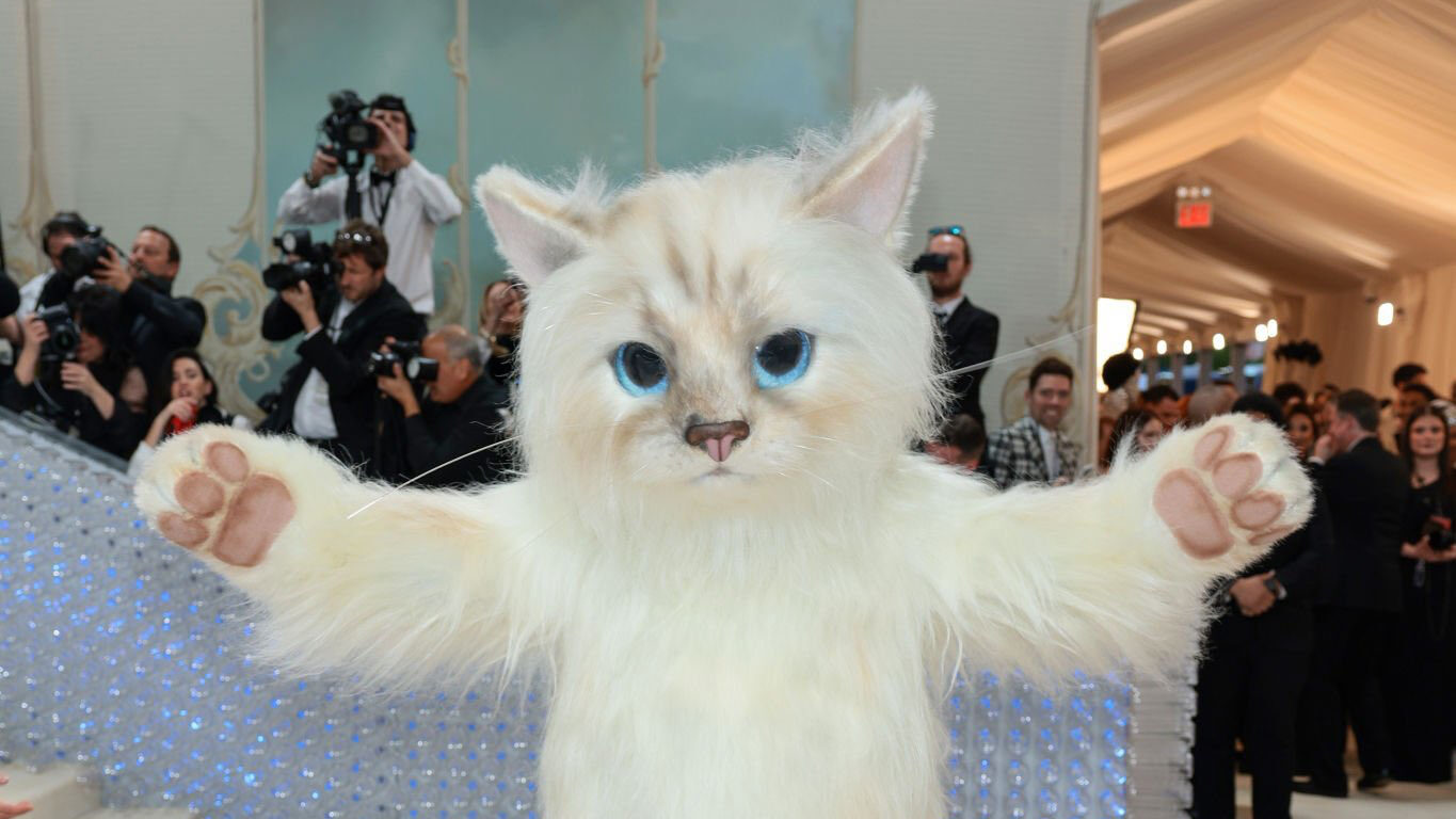 Jared Leto as a cat, Doja Cat in Oscar de la Renta – see all the celebrities and stars attending the 2023 Met Gala